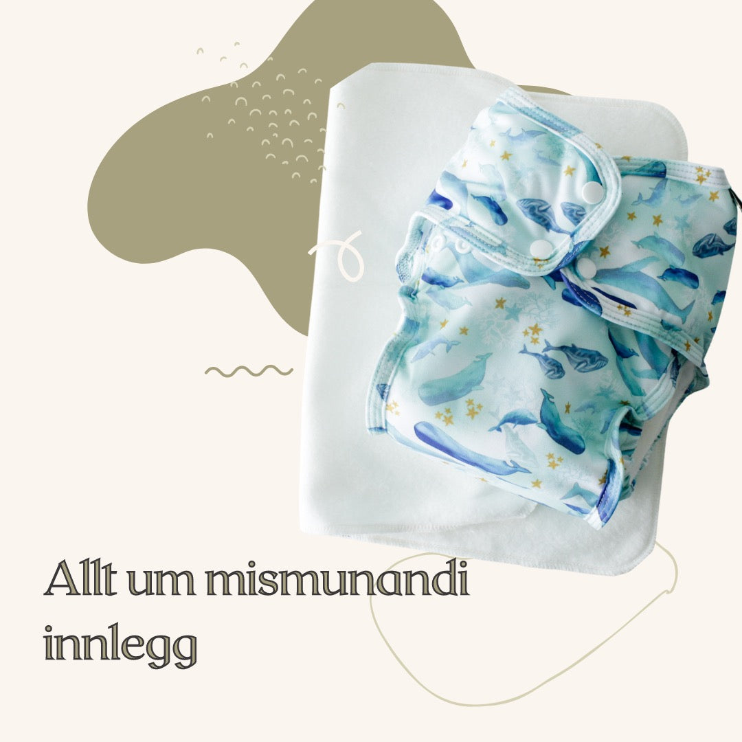 Mismunandi innlegg í taubleyjur